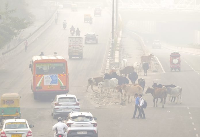Delhi Faces Severe Air Quality Crisis: AQI Hits 360