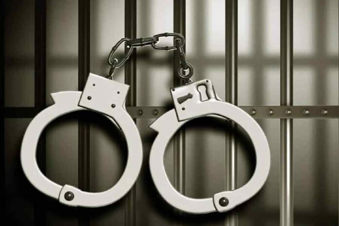 Two Arrested Along With Arms And Ammo In Srinagar: Police