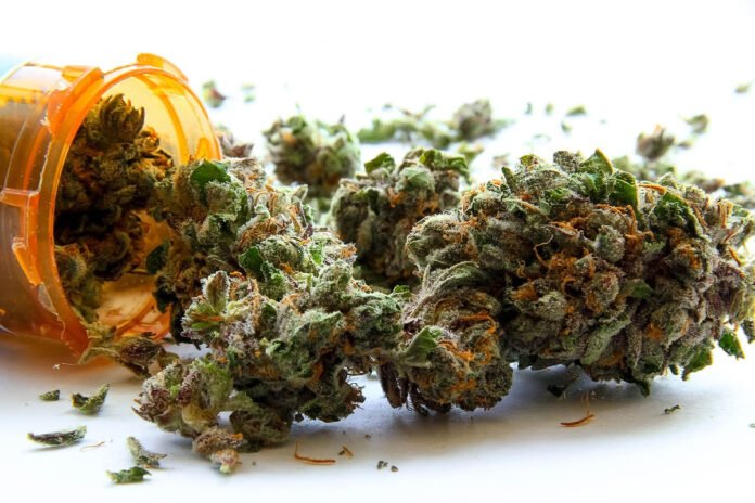 Delhi Airport Customs Seize Hydroponic Weed Worth Rs 5.38 Crore Hidden Inside Geysers; Two Arrested