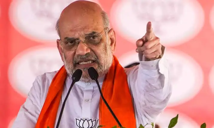 12 Years of Modi Government Marked by Blend of Development and Heritage: Amit Shah