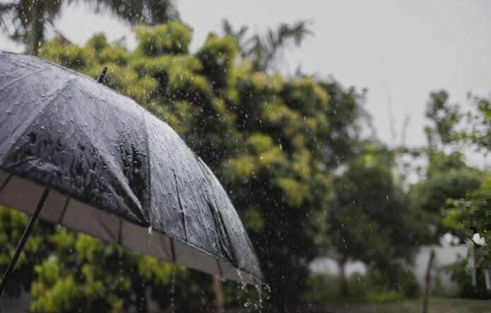 MeT Predicts 10-Day Wet Spell in J&K with Heavy Rainfall